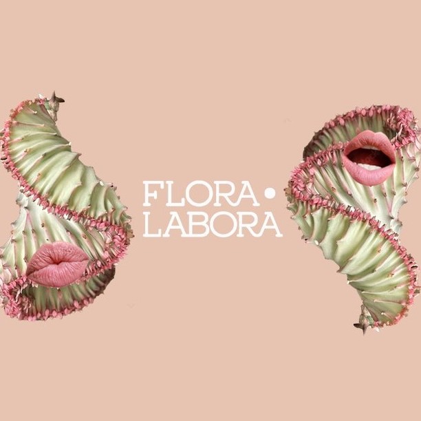 Instagram Flora et Labora