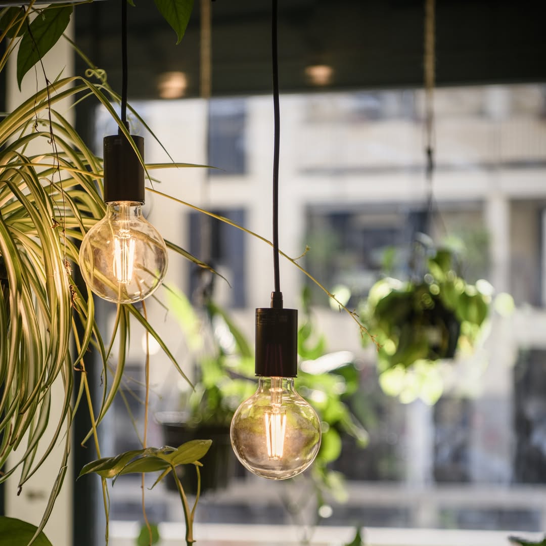 Interno caffetteria vegana Flora et Labora con piante tropicali, Naviglio Pavese Milano